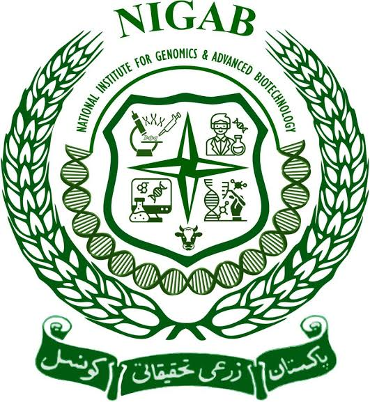 NIGAB logo
